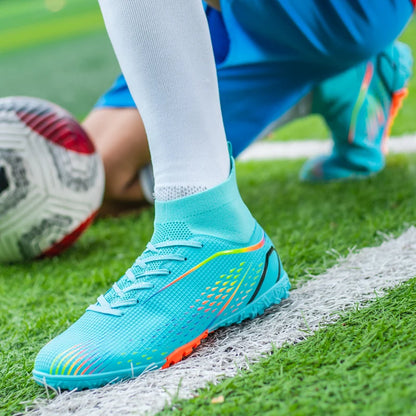 description_selected25