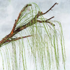 description_selected11