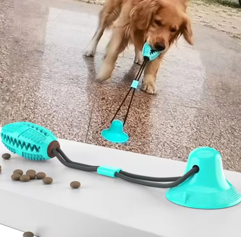 Tug-of-War Toy in turquoise with suction cup base and textured chew ball – dog playing with interactive toy outdoors