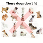 Various dog breeds shown with 'X' mark indicating size incompatibility for Lion Mane Dog Costume - sizing guide
