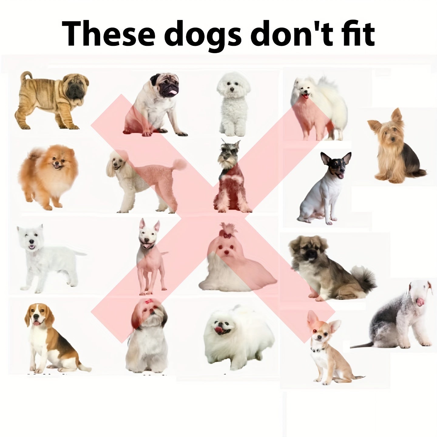 Various dog breeds shown with 'X' mark indicating size incompatibility for Lion Mane Dog Costume - sizing guide