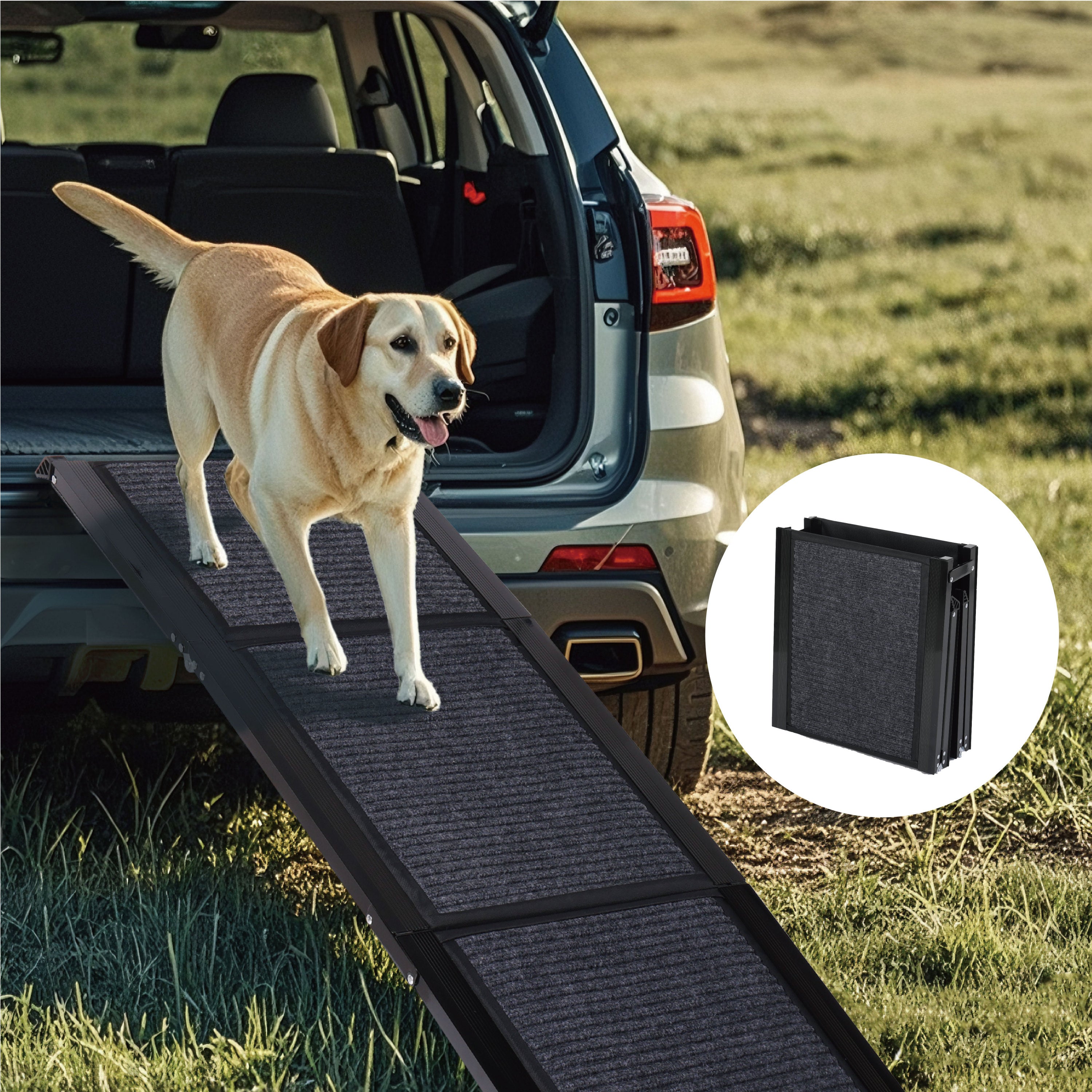 Dog Car Ramp