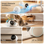 description_selected6