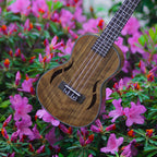 Acoustic Four-String Ukulele striped brown body resting among pink flowers and green leaves.