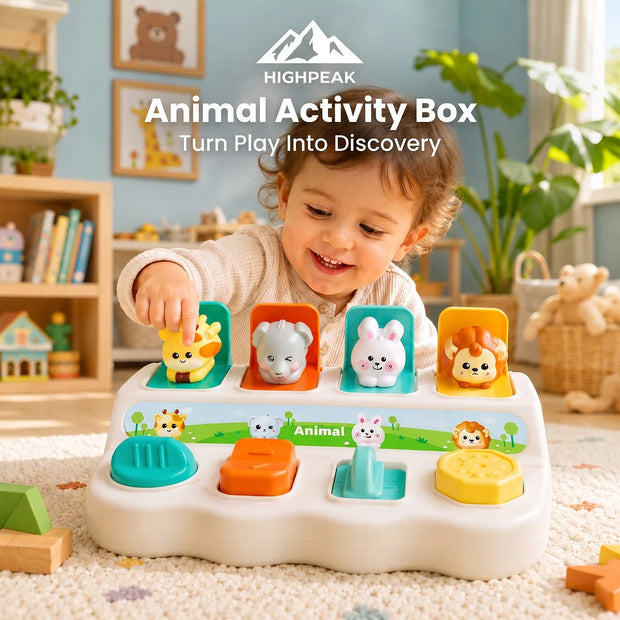 Animal Activity Box