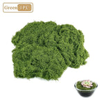 Artificial Decorative Moss 1-pack illustration showing a green moss portion with a small succulent bowl styling example.