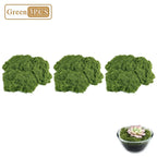 Artificial Decorative Moss 3-pack illustration showing three green moss portions and a small planter styling example.