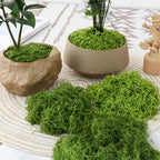 Artificial Decorative Moss green textured portions beside two beige planters on a round woven placemat.