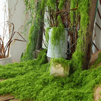 Artificial Decorative Moss hanging strands surrounding a weathered frame and metal pitcher in a rustic scene.