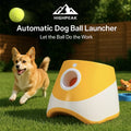Automatic Dog Ball Launcher