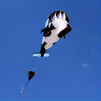 description_selected0