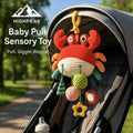 Baby Pull Sensory Toy