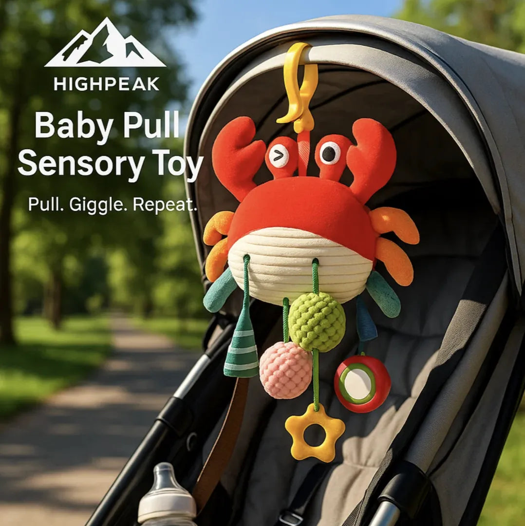 Baby Pull Sensory Toy