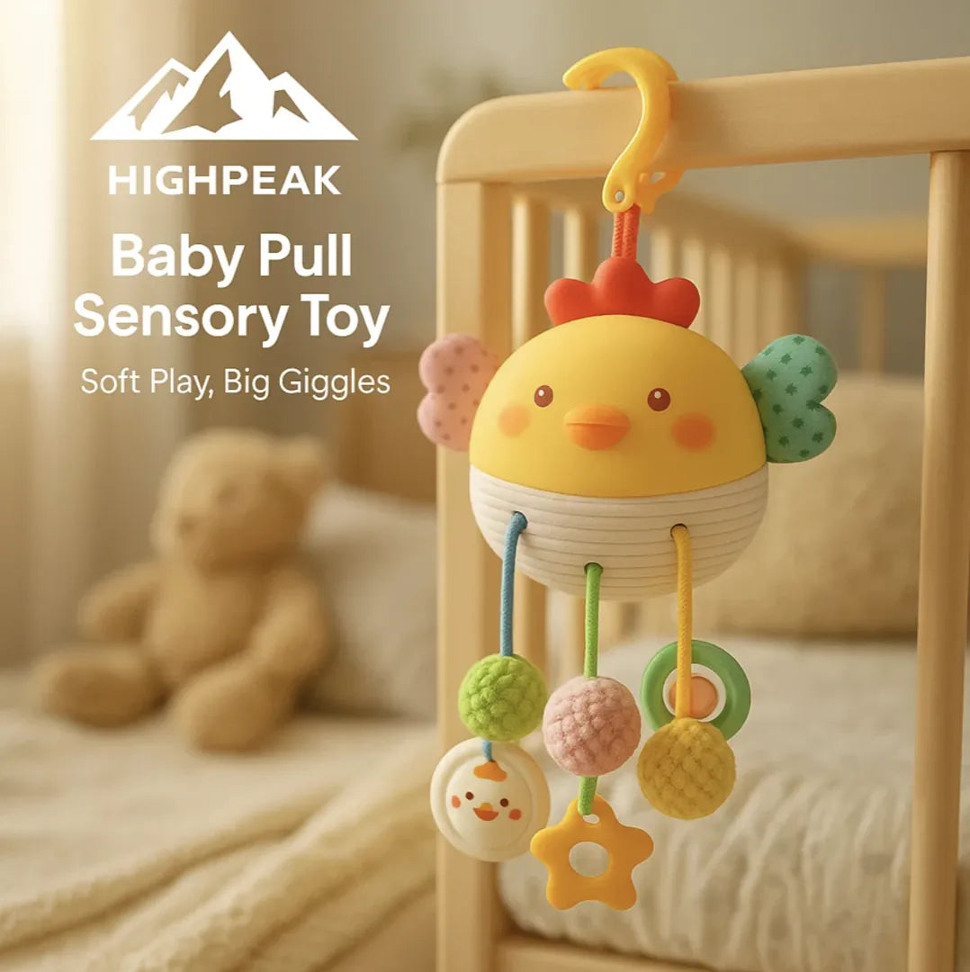 Baby Pull Sensory Toy