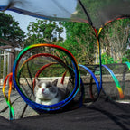description_selected6