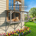 Cat Window Patio