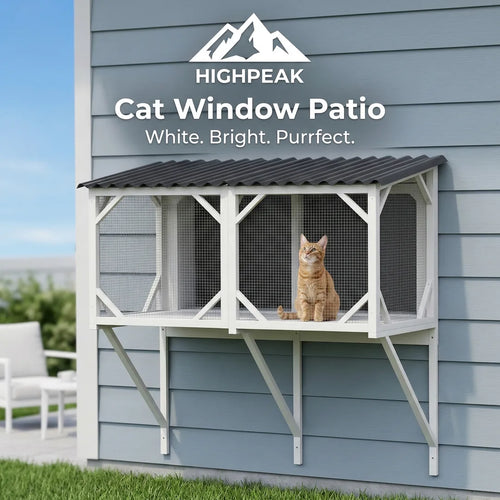 Cat Window Patio