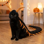 Centipede Pet Costume in Gold worn by a seated black cat beside Halloween lights and a pumpkin.