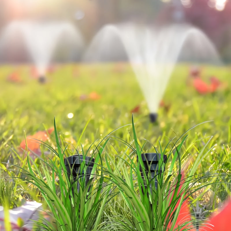 description_selected6