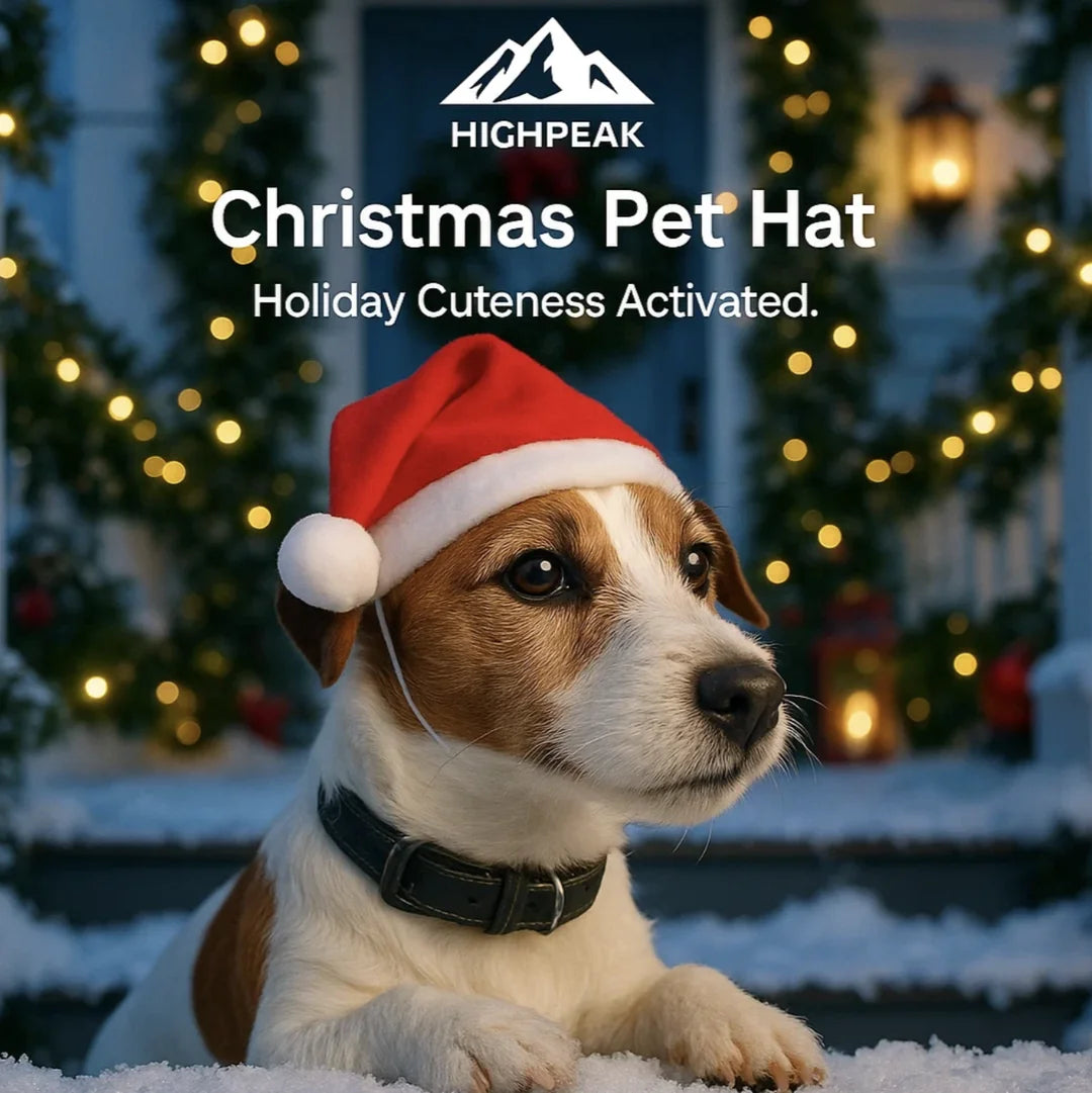 Christmas Pet Hat