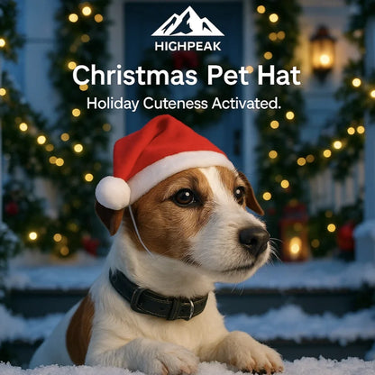 Christmas Pet Hat