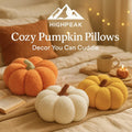 Cozy Pumpkin Pillows