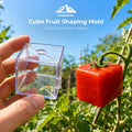 Cube Fruit Shaping Mold