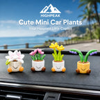 Cute Mini Car Plants