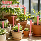 Cute Worm Plant Ornaments decorating assorted terracotta and white plant pots beside a sunny window.