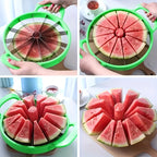 description_selected10