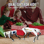 description_selected19