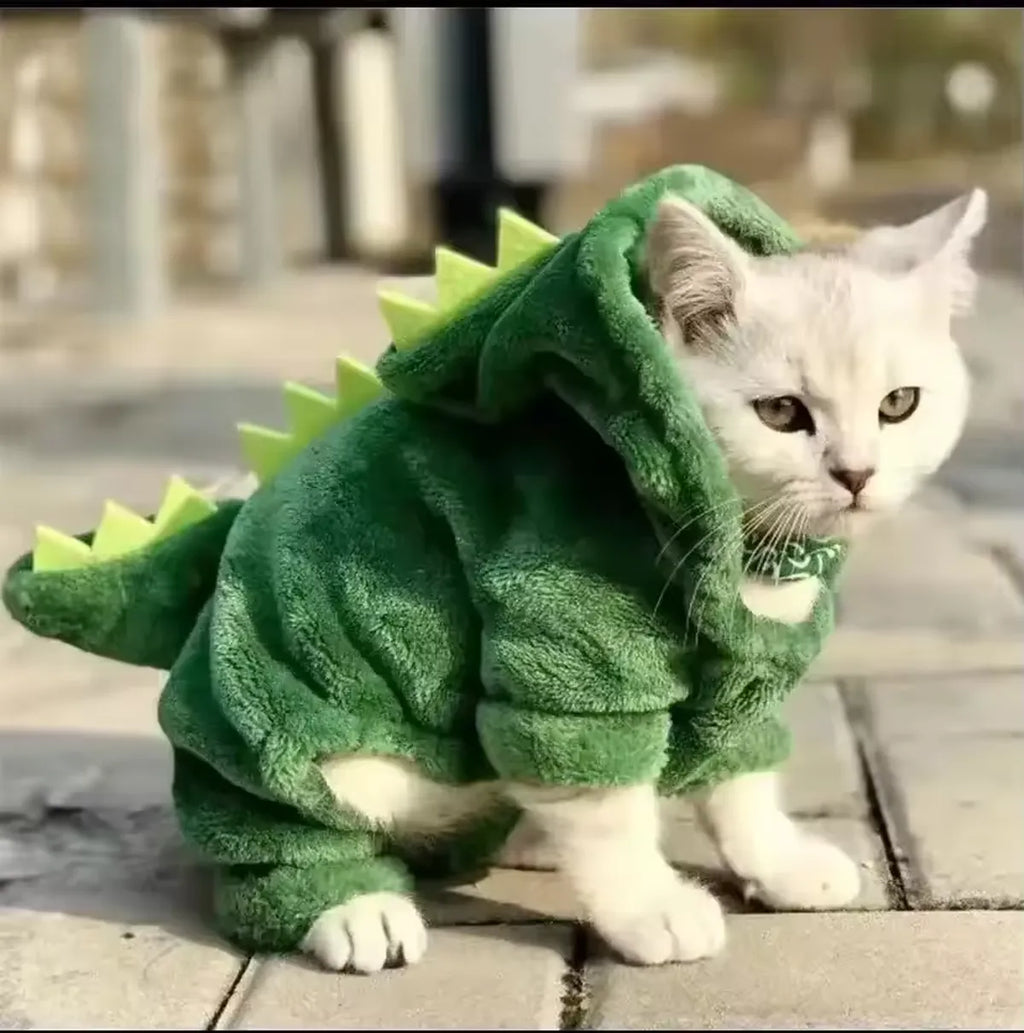 Dinosaur Pet Costume