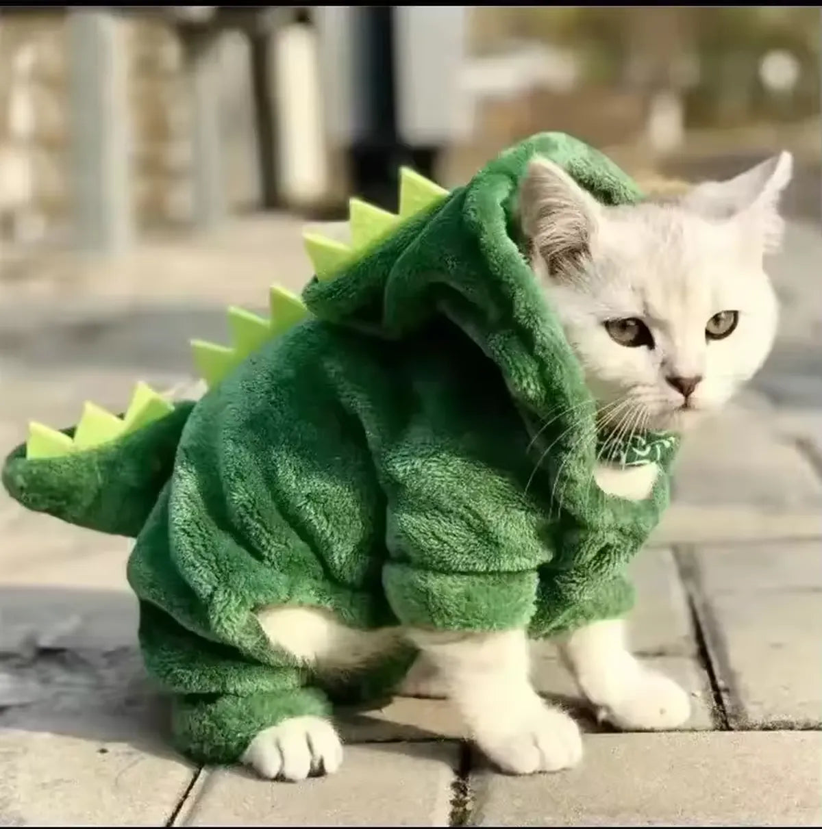 Dinosaur Pet Costume