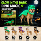 Dinosaur Skeleton Pet Costume: Green glow demonstration on a dog with light charging instructions and color examples.