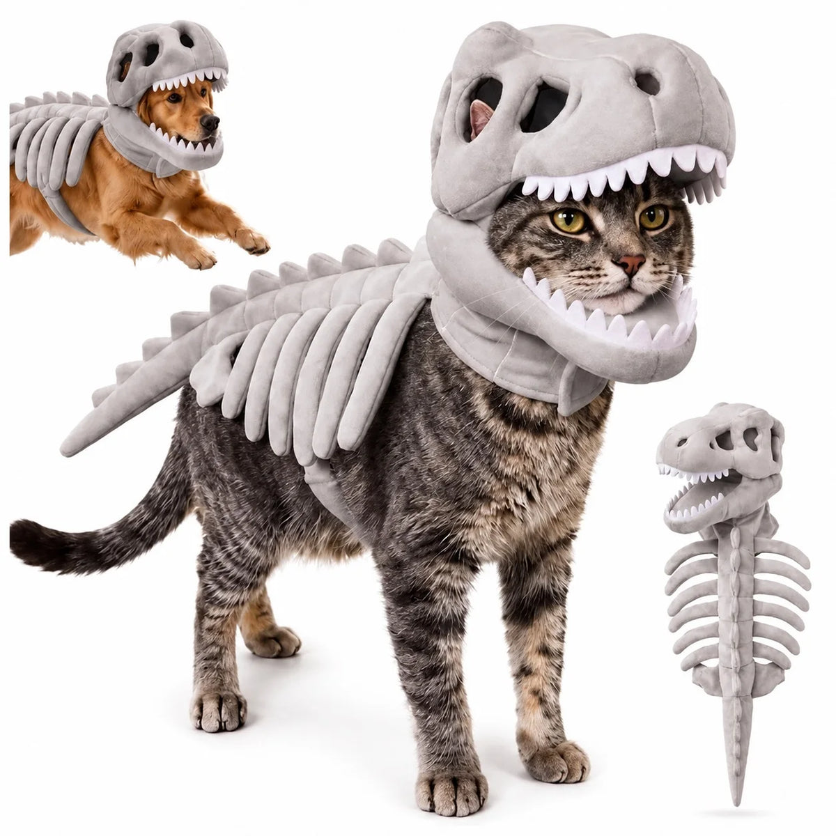 Dinosaur Skeleton Pet Costume: Gray costume on a cat with dog inset and full skull, ribs and tail view.