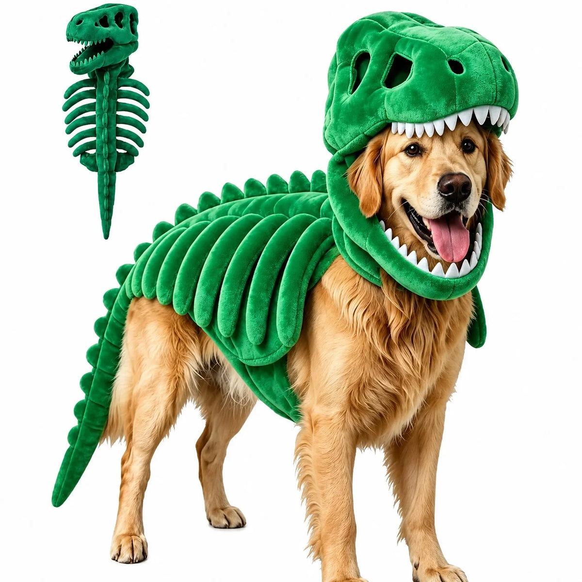 Dinosaur Skeleton Pet Costume: Green costume on a golden retriever with a full skeleton costume inset.