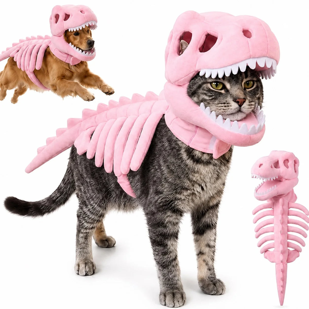 Dinosaur Skeleton Pet Costume: Pink costume on a cat with dog inset and full skull, ribs and tail view.
