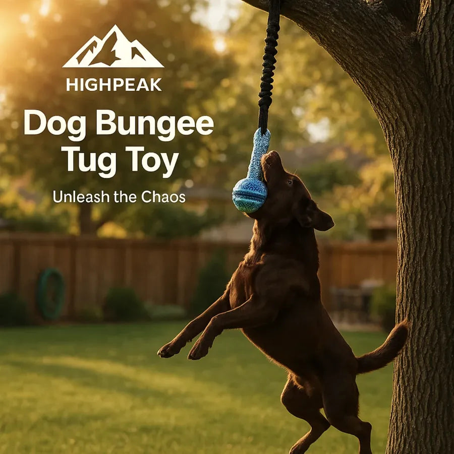 Dog Bungee Tug Toy