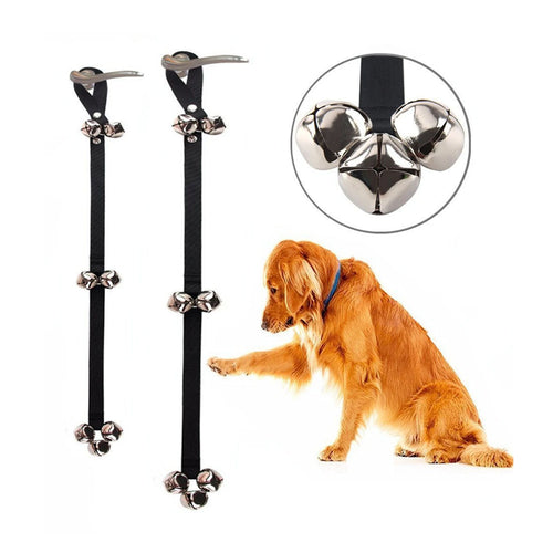 Golden retriever lifting a paw beside hanging dog training bells with a metal bell detail