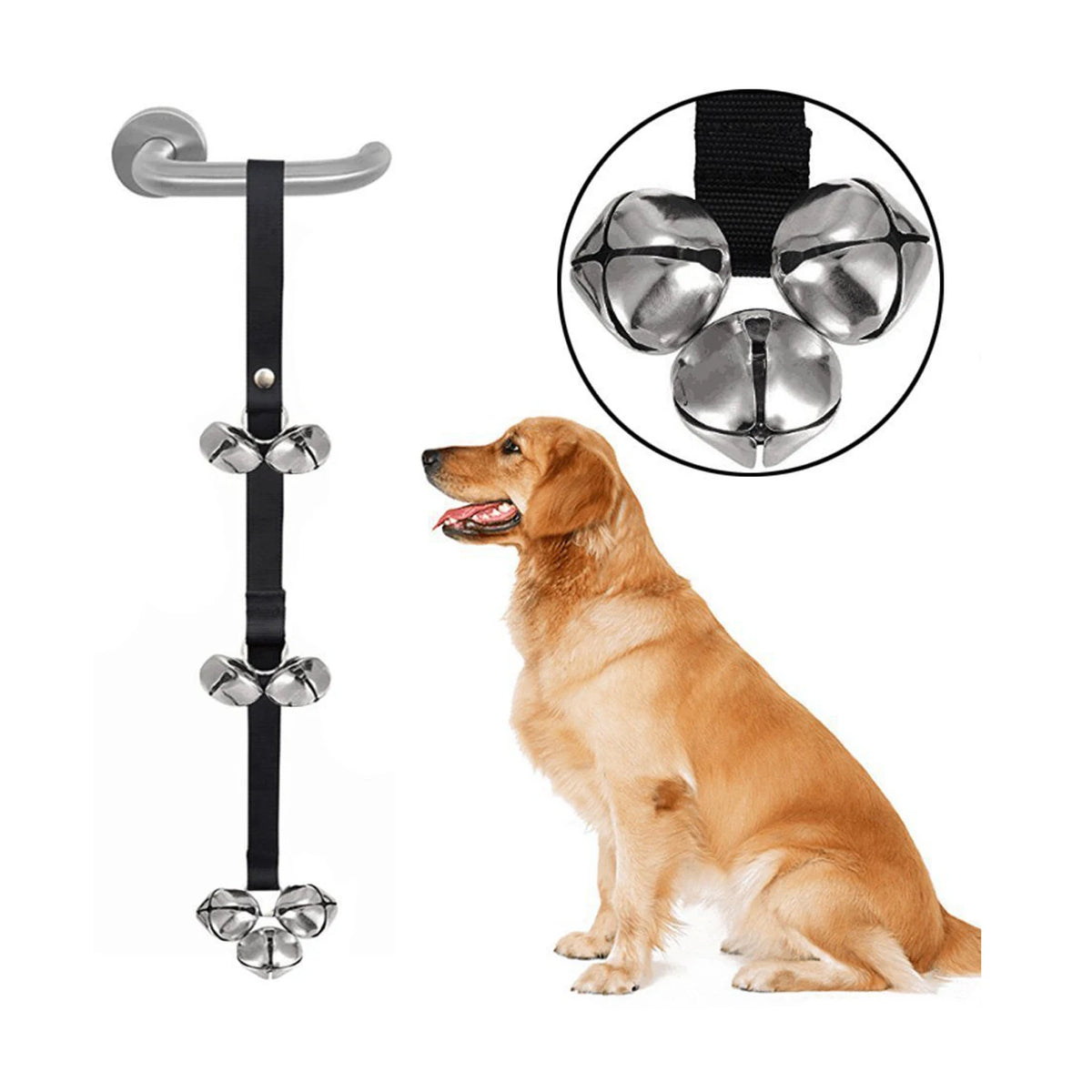 Golden retriever sitting beside a hanging black training bell strap with silver bell close-up