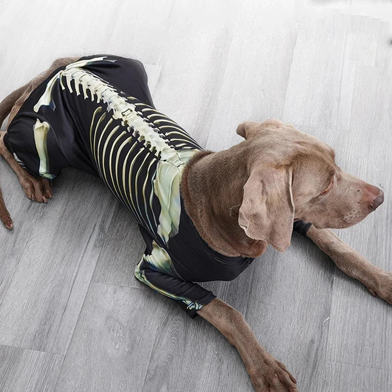 Alternate image of a resting dog showing the skeleton print across its back