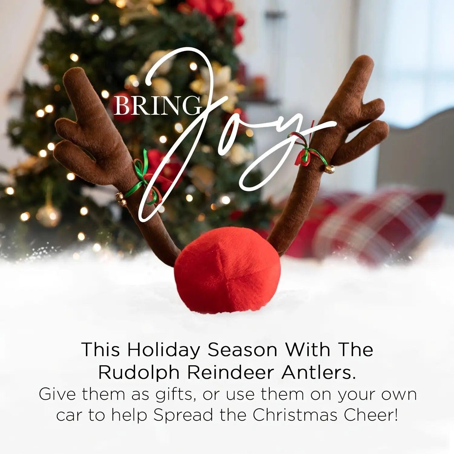 description_selected4