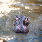 Floating Hippo Pond Decor hippo face shown from the front on rippling water with warm golden reflections.