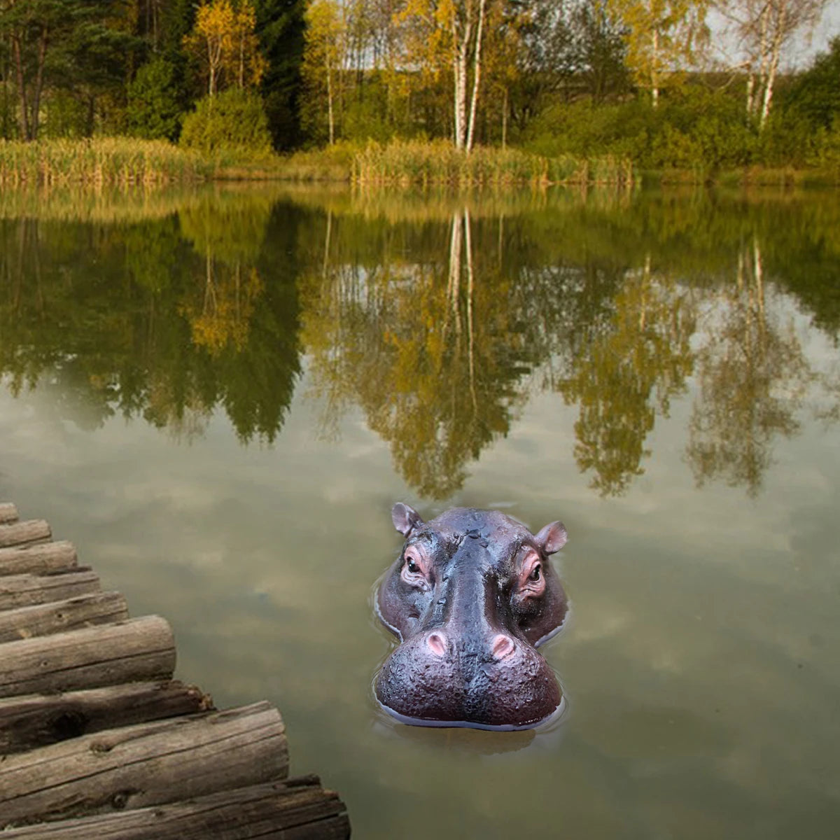 Floating Hippo Pond Decor front view of the hippo head floating beside a wooden dock with trees across the pond.