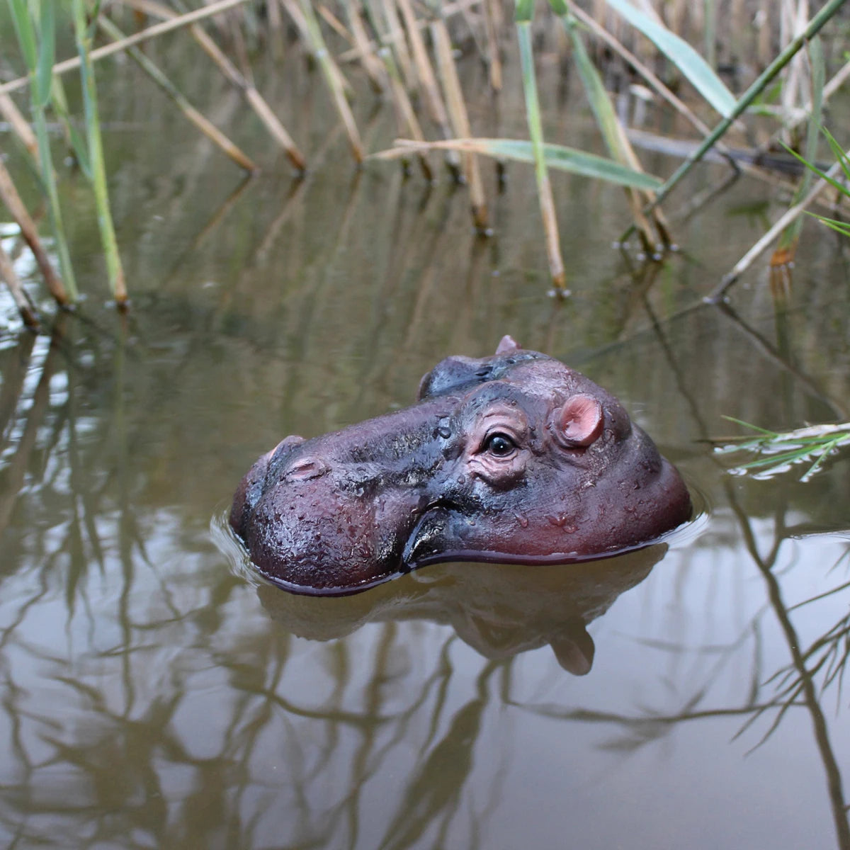 Floating Hippo Pond Decor left-facing brown hippo head floating in open water with green reeds in the background.