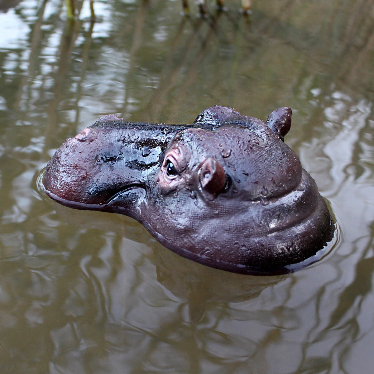 Floating Hippo Pond Decor left-facing hippo head in water, showing the sculpted ear and folds at the back of the neck.