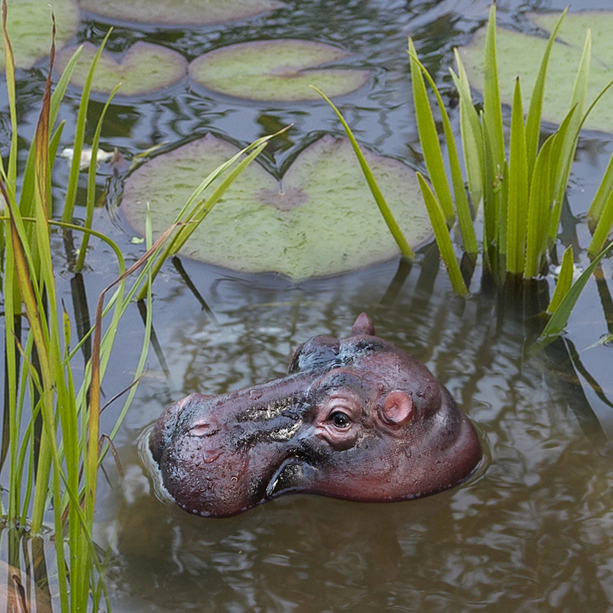 Floating Hippo Pond Decor left-facing hippo head floating in a pond among lily pads and green aquatic leaves.