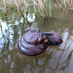 Floating Hippo Pond Decor rear three-quarter view of the right-facing hippo head, showing neck folds beside pond reeds.