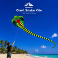 Giant Snake Kite