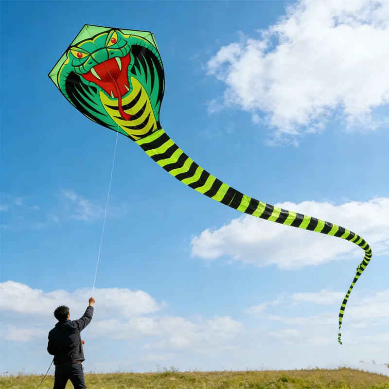 Giant Snake Kite flying over an open field while a person controls the line beneath a bright blue sky
